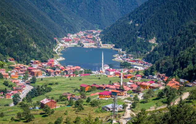 WhatsApp Image 2026-02-20 at 16.01.50 (7)